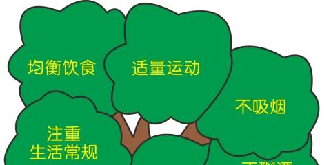 四大健康的生活方式