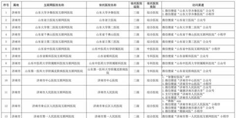 截至2022-12-12山東省擁有174家互聯(lián)網(wǎng)醫(yī)院