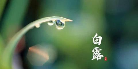 今日白露，中醫(yī)和您聊聊養(yǎng)生之法